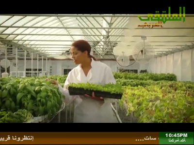 Al Multaqa TV